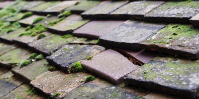 Binfield roof repair costs